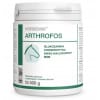 HorseMix Arthrofos ZDROWE STAWY dla koni DOLFOS