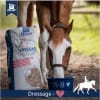 Derby Dressage Musli Dla Koni Sportowych 20kg - obrazek 4