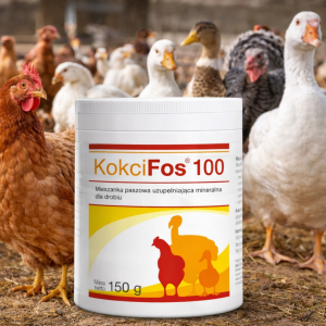 Kokcifos 100 na Kokcydiozę kokcydia u Drobiu Kur Niosek dolfos 150g