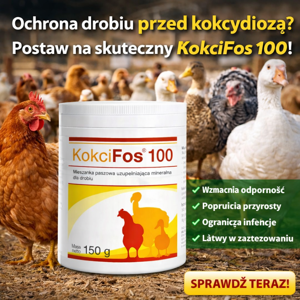 Kokcifos 100 dla drobiu kur niosek Dolfos 10kg