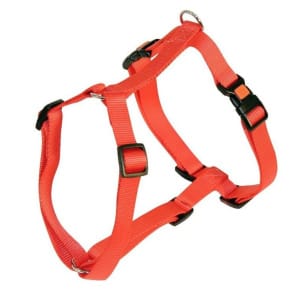 Szelki dla psa Miami, 40 – 57 cm x 15 mm, czerwone, Kerbl