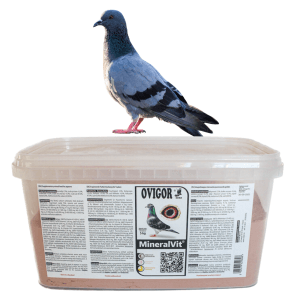 MineralVit dla gołębi mączka mineralna z witaminami aminokwasami Ovigor 5kg