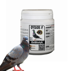 OviBiotyk – naturalny probiotyk. Stabulizuje mikroflorę przewodu pokarmowego