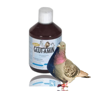 Backs Glut-Amin – Aminokwasy dla szybkiej regeneracji gołębi 500ml