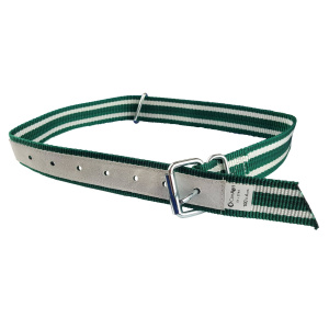 Obroża dla cieląt Classic, 100 x 4 cm, biały/zielony, Can Agri