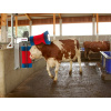 Czochradło automatyczne dla bydła HAPPYCOW Duo, Kerbl - obrazek 3