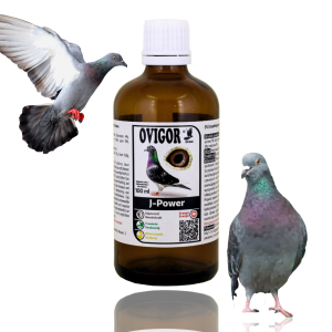 Uzupełniająca mieszanka paszowa w płynie dla gołębi – Szczytowa forma! 100ml
