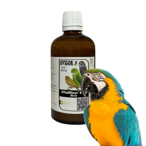 Vitamixor E+Se Birds 100ml- witamina E+Se z kroplomierzem dla papug, kanarków i innych ptaków egzotycznych