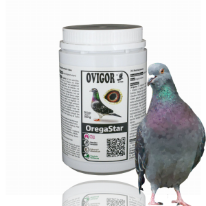 OregaStar – roślinny preparat z oregano