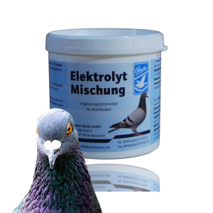 Elektrolit – kombinacja elektrolitów do regenreacji sił