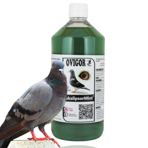Eukalipsor Mint – przeciw schorzeniom górnych dróg oddechowych 1000ml
