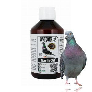 Olejek GarlisOil 250 ml – olejowy wyciąg czosnkowy