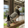 OviBlack Birds - preparat zapewniający czyste gardło i skórę 30ml - obrazek 3
