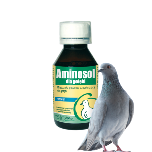 Aminosol gołąb100 ml