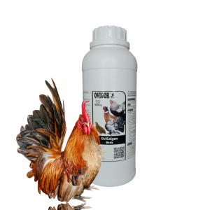 OviCalgen Birds – mieszanka mineralna z algami i olejkami eterycznymi 1kg