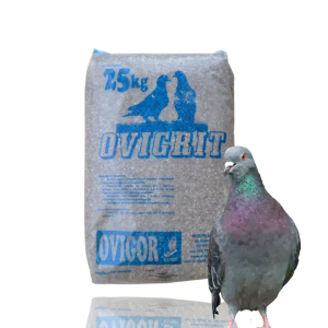 OviGrit 3 z anyżkiem – gryt