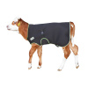Derka dla cielaka Premium, 70 cm, czarna, Kerbl