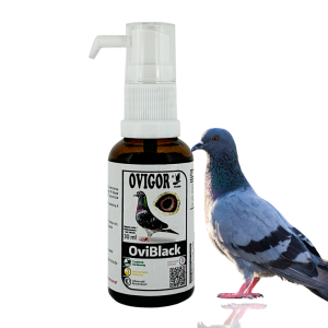 OviBlack Birds – preparat zapewniający czyste gardło i skórę 30ml