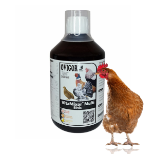 VitaMixor Birds – kombinacja witamin i minerałów i aminokwasów