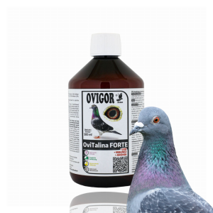 OviTalina FORTE 500ml – Ziołowa Mieszanka z Magnezem, Jodem i Aronią