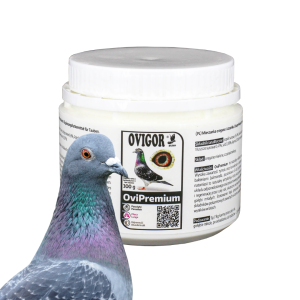 OviPremium 300g – Naturalna mieszanka dla Zdrowia i odporności gołębi