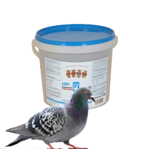Experten grit Backs – mineralny granulat we wiaderku 5kg