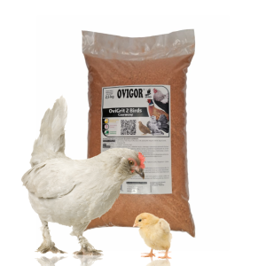 OviGrit 2 Birds (czerwony) – gryt czerwony dla ptaszków i ptaków ozdobnych 2.5kg