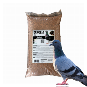 Ovigrit czerwony z anyżem – gryt