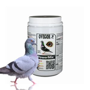 PowerMix proszek – proszek kondycyjny z probiotykami i witaminami
