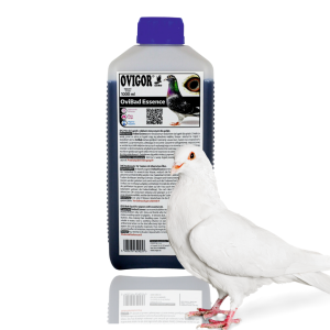 OviBad Essence Birds – płyn do kąpieli z olejkami eterycznymi