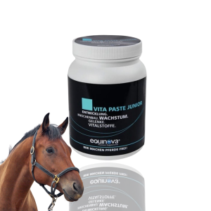 EQUINOVA Vita Paste Junior 1,5l- rozwój kości i stawów