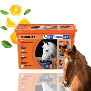 Horslyx Mobility Masa Energetyczna Dla Koni W Formie Bloków 5kg