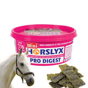 Horslyx Pro Digest Lizawka Dla Koni Masa Energetyczna Formie Bloków 650g