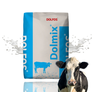 Dolmix BMS Dolfos Witaminy Premiks dla krów mlecznych w laktacji bydła 20kg