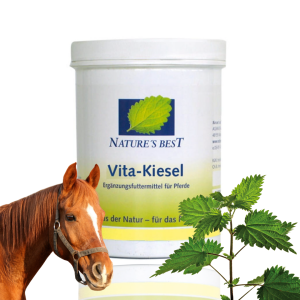 Nature’s Best Vita-Kiesel Ziemia Okrzemkowa Pasza Mineralna Dla Koni 700g