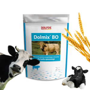 Dolmix BO – Witaminy i minerały dla bydła Wzrost i zdrowie Dolfos 2kg