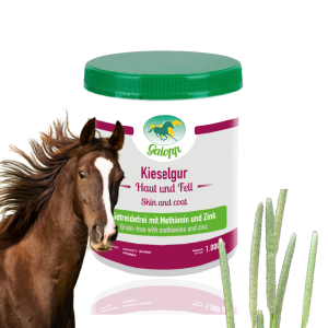 Galopp Kieselgur – bez zbóż – Ziemia okrzemkowa 1kg