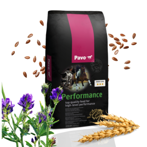 Pavo Performance 20 kg – Granulat dla koni sportowych i nerwowych dla najwyższego poziomu wydajności