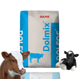 Dolmix C Mieszanka paszowa uzupełniająca z probiotykiem dla cieląt 10 kg