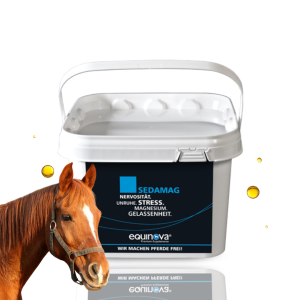 EQUINOVA Sedamag Powder 1,5kg – dla nerwowych koni