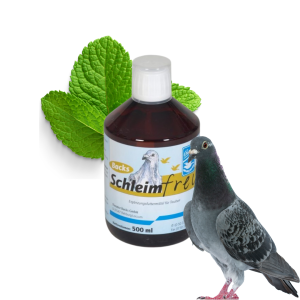 SCHLEIMFREI – DLA CZYSTOŚCI DRÓG ODDECHOWYCH 500ML