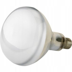 Promiennik żarówka hartowana kwoka 150W Kerbl biał