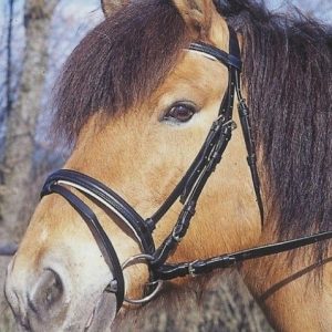 Ogłowie dla konia Standard czarny Full Covalliero