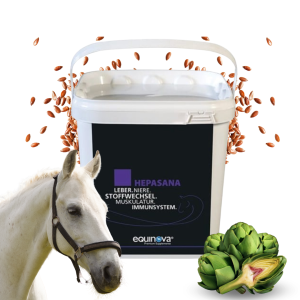 Equinova Hepasana Mieszanka Wspomagająca Metabolizm 3kg
