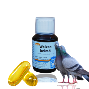 Weizenkeimöl 100ml – Naturalna Witaminka E Dla Gołębi