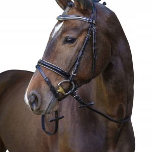 Ogłowie dla konia Kingston czarny Pony Covalliero