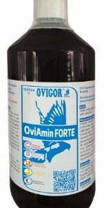 Ovi Amin Forte Aminokwasy dla gołębi OVIGOR 1 L