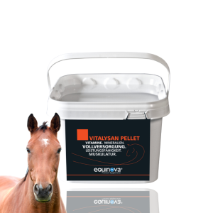 EQUINOVA Vitalysan Pallet 3kg – mieszanka witminowa