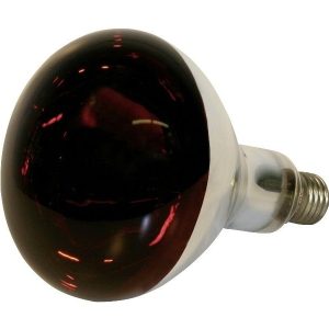 Promiennik żarówka hartowana kwoka 150W Kerbl czer