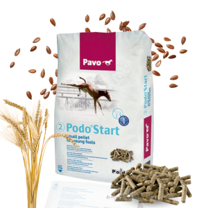 Pavo Podo Start 20 kg – Drobny granulat dla źrebiąt od 3 miesiąca życia